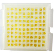 monocrystalline diamond wire drawing die